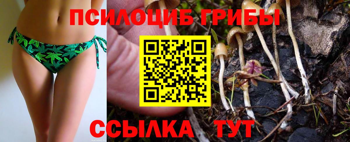 Псилоцибиновые грибы Psilocybe  Вход с VPN  даркнет сайт  Камышлов 